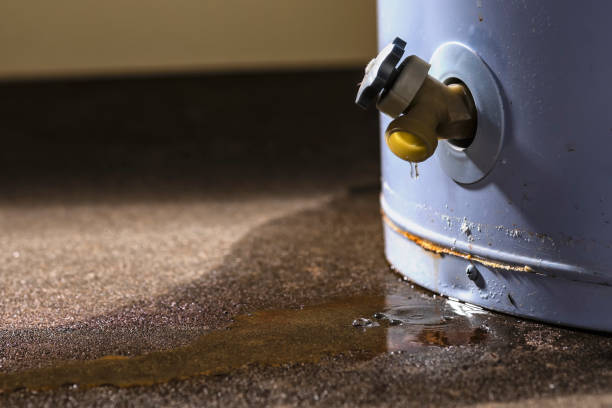 Best Mold removal after water damage  in Armona, CA