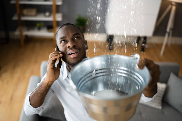 Best Water damage cleanup near me  in Armona, CA