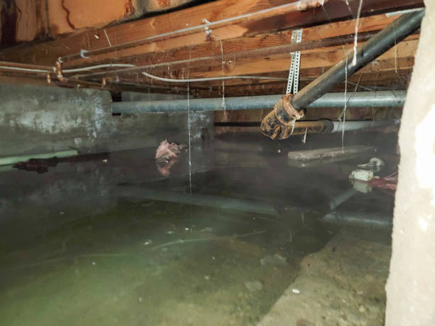 Best Water damage restoration near me  in Armona, CA