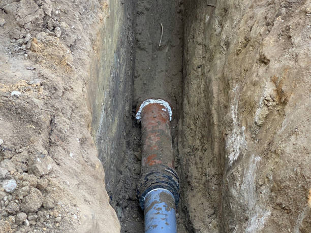 Best Flood damage cleanup  in Armona, CA
