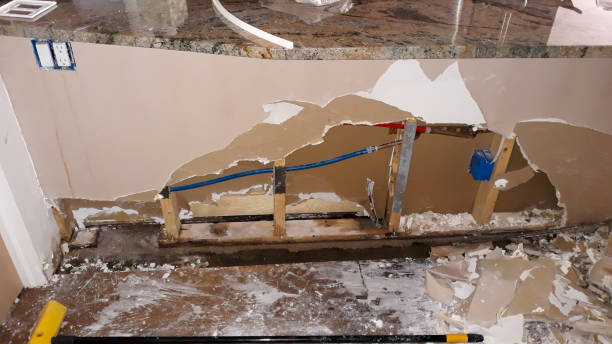 Best Fire Damage Restoration  in Armona, CA