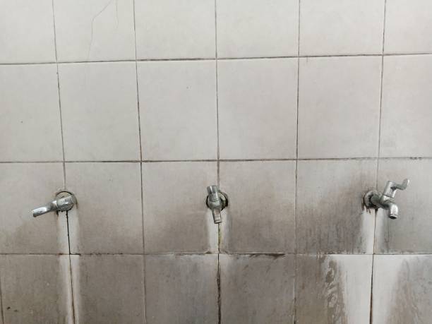 Best Water damage restoration insurance claims  in Armona, CA