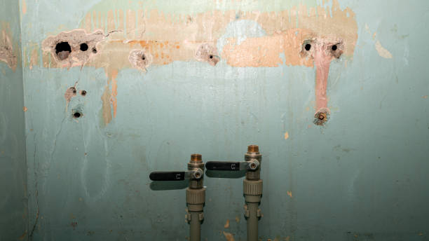 Best Professional water damage repair  in Armona, CA