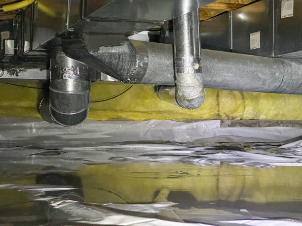 Best Flood restoration services  in Armona, CA