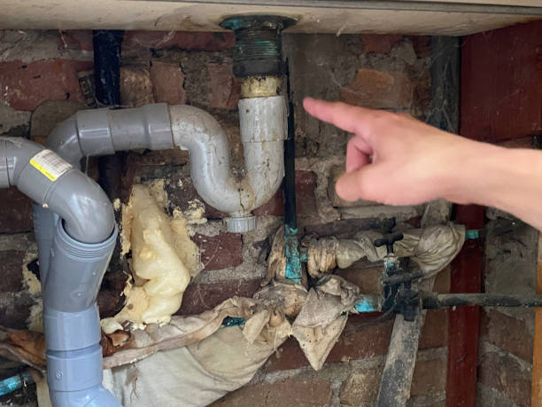 Best Basement water damage restoration  in Armona, CA
